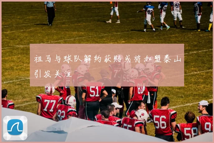 祖马与球队解约获赔或将加盟泰山引发关注